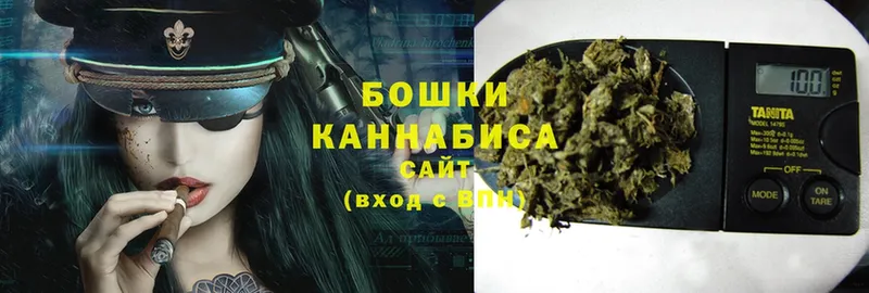 Конопля OG Kush  где можно купить   Катав-Ивановск 